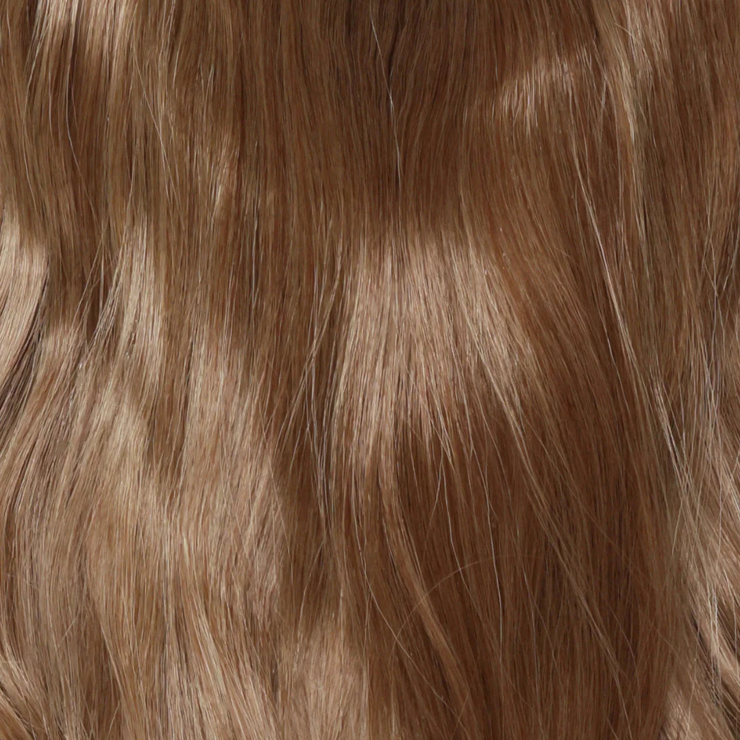 Nuancier Noir à Brun - Extension Halo