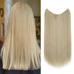 blond-cendré-pâle lisse offerte