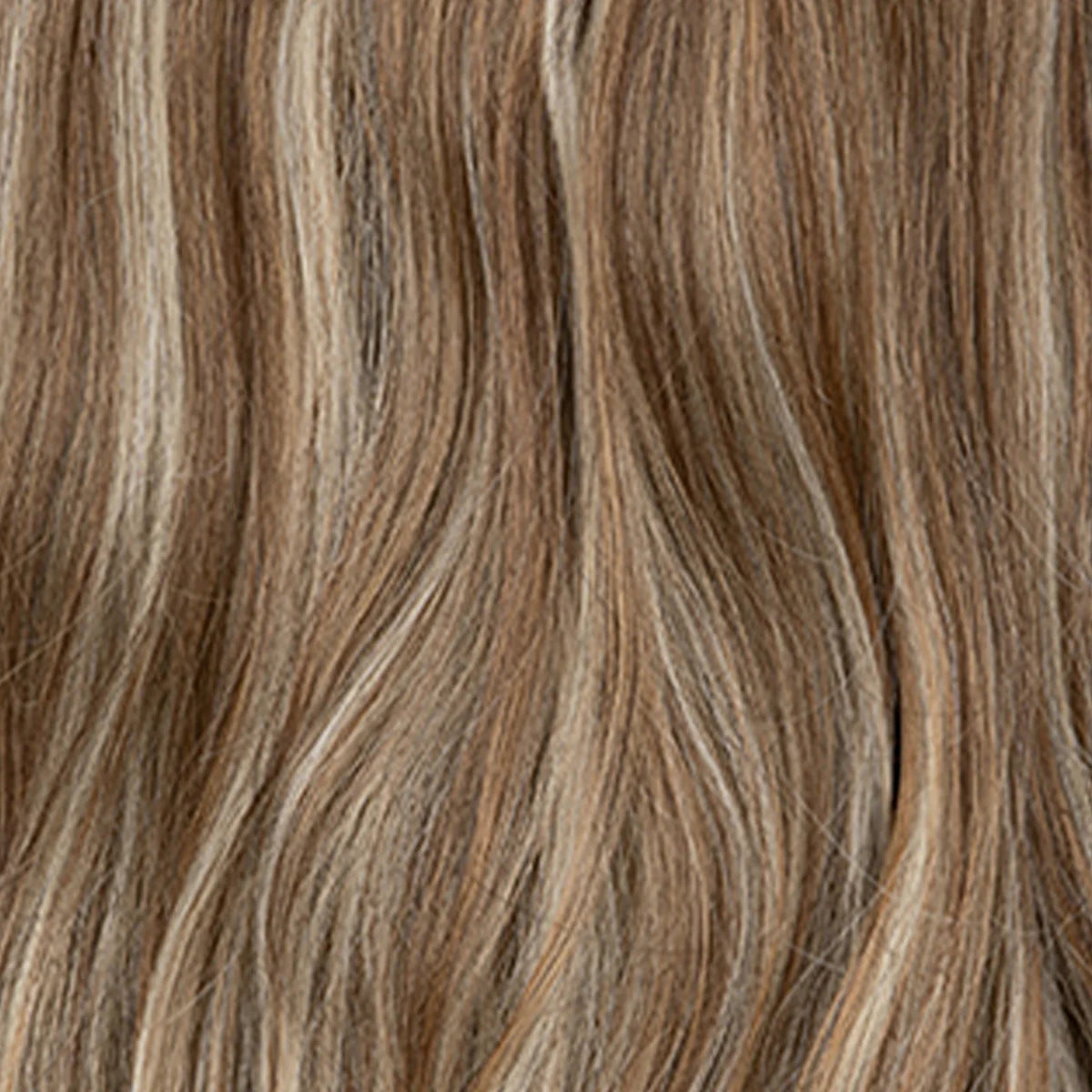 swatch-blond-sable-foncé